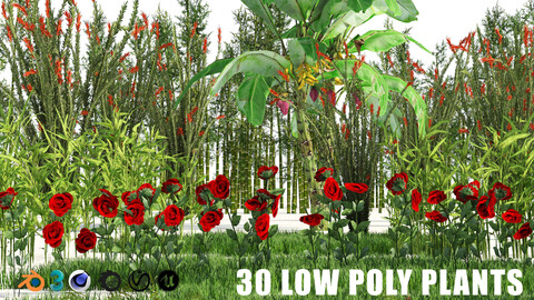 Rigged Low poly Plants collection