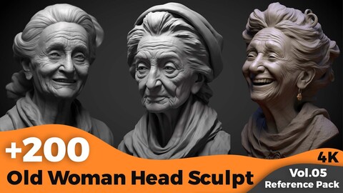 +200 Old Woman Head sculpt (4K)