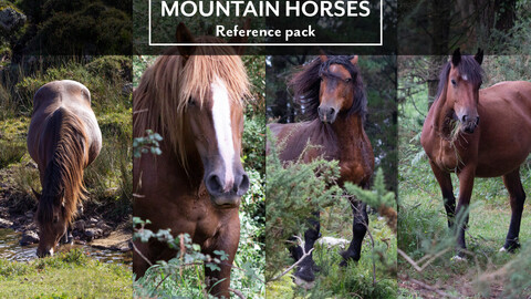 Reference pack: Mountain horses