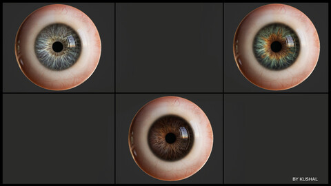 Realistic Human eye Low-poly 3D model