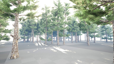 Conifer Forest tree V02 + UE5