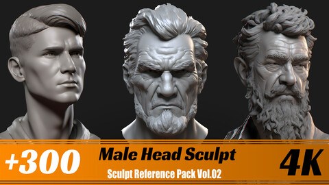 +300 Male Head Sculpt | 4K | Sculpt Reference Pack Vol.02