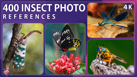 400 Insect Photo Reference Pack – Vol 1