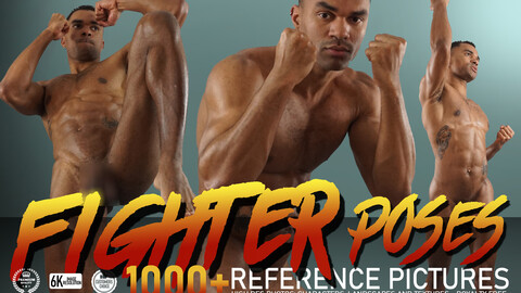 Fighter Poses 1000+ Reference Pictures