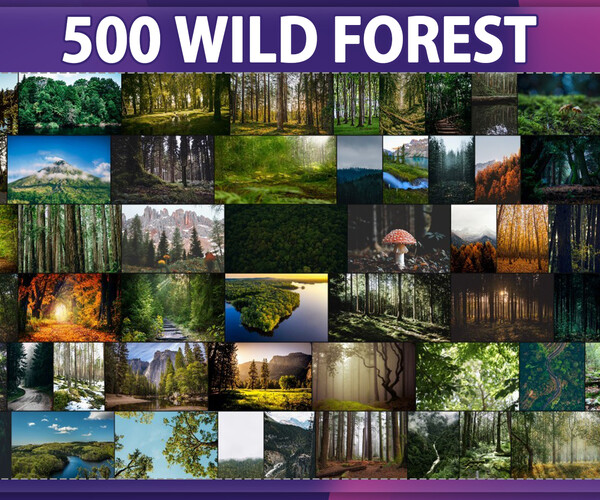 ArtStation - 500 Wild Forest Reference Pack – Vol 1 | Resources