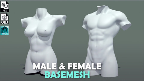 Human Torso - Topology + UV map