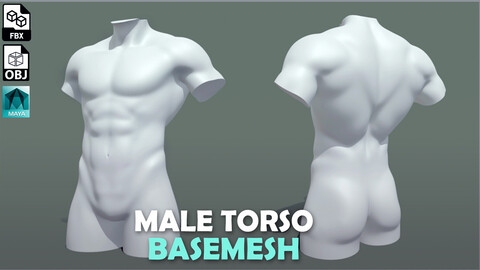 Male Torso - Topology + UV map