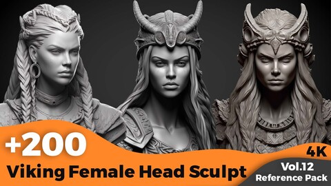 +200 Viking Female Head Sculpt (4K)