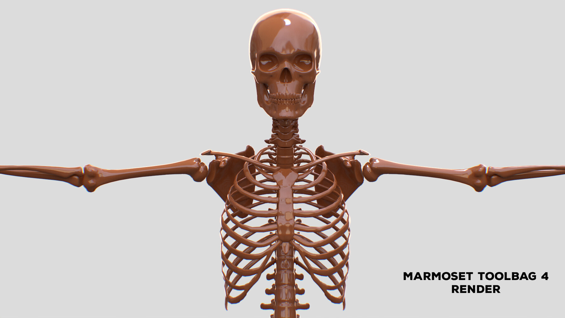 Включи скелет 3. Скелет человека 3д модель. Скелет человека 3d. Модель скелета человека. Скелет в 3/4.