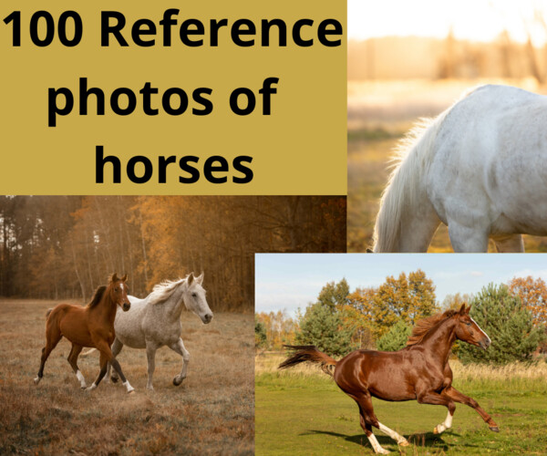 ArtStation - 100 autumn horse reference photos | Resources