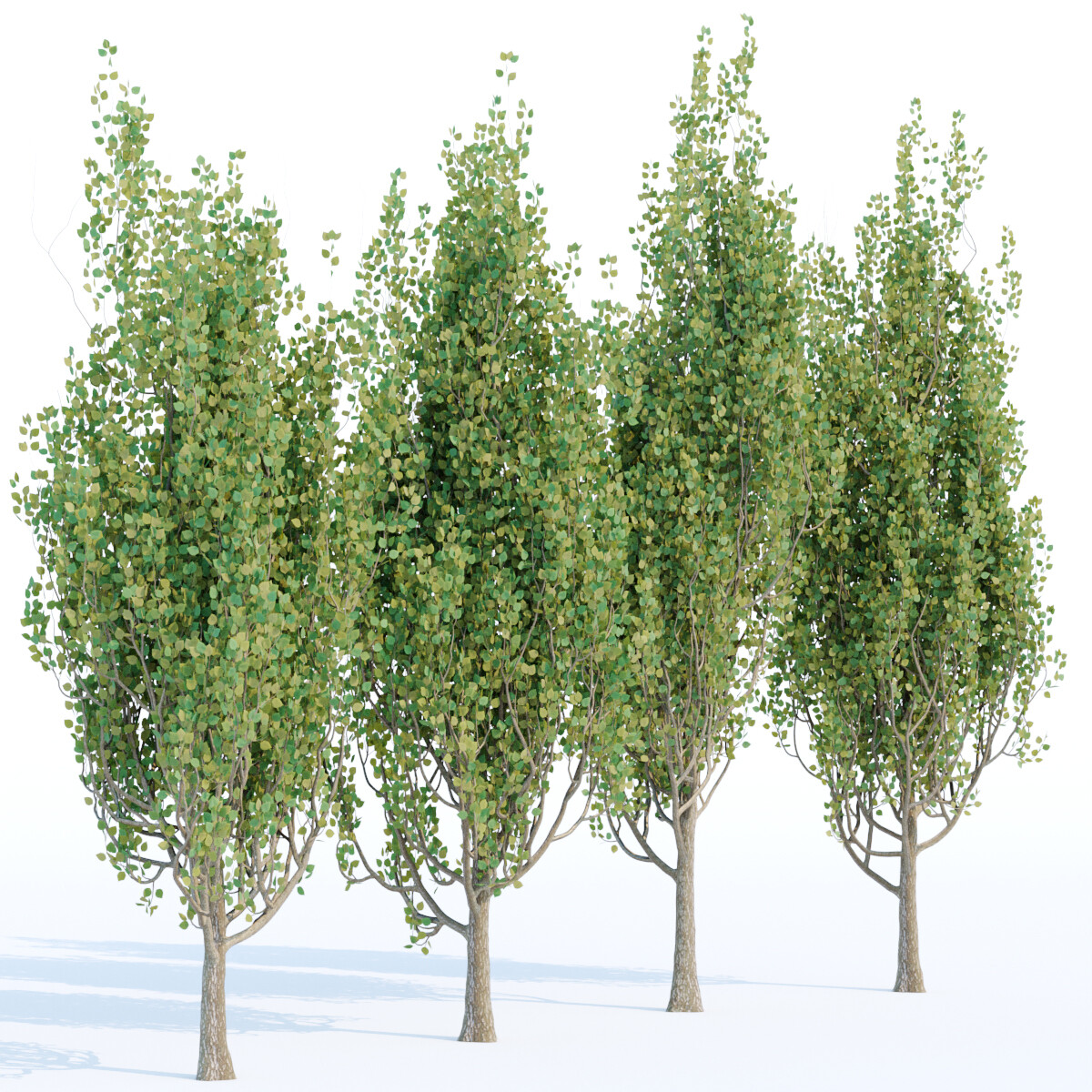 ArtStation Poplar Trees Collection Vol 44 Resources   File 