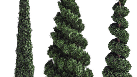 Pine Tree Set02