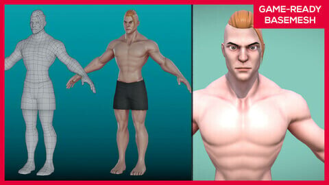 Stylized Male 3D Character basemesh - Rigged