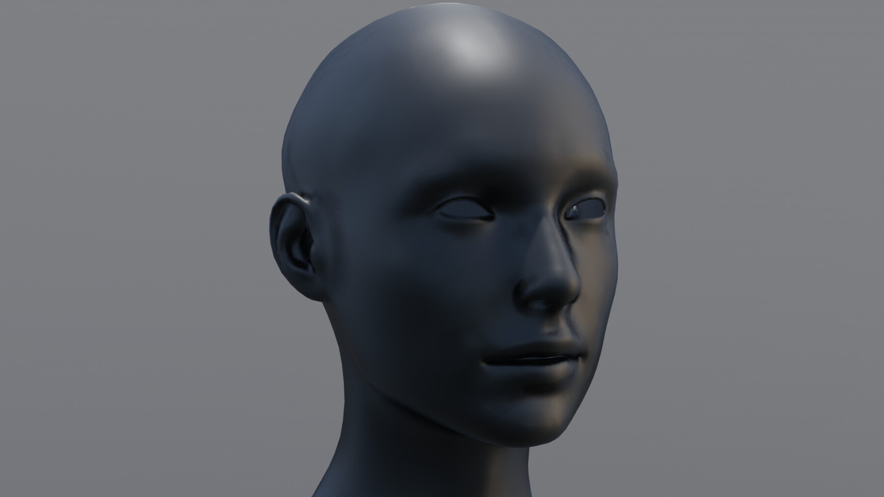 Mannequin heads 3D Model Collection