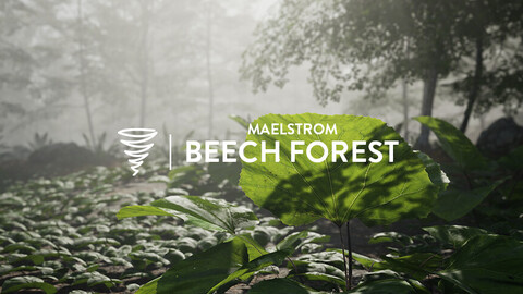 MAE Beech Forest - UE4 & UE5
