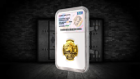 Rare Coin Slab holder NFT after effects Template
