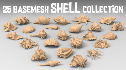 25 basemesh shell collection
