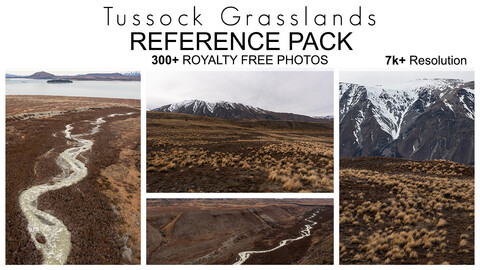 Reference Pack - Tussock Grasslands - 300+ Royalty Free Photos