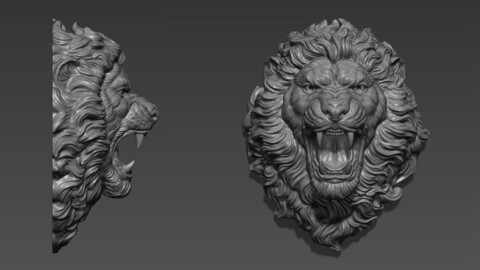 Lion head angry