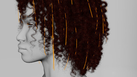 XGen Curly Hair Project