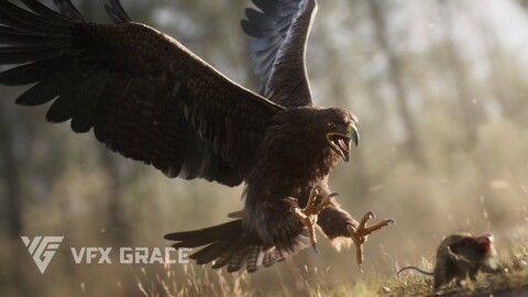 Aquila Nipalensis Animated | VFX Grace