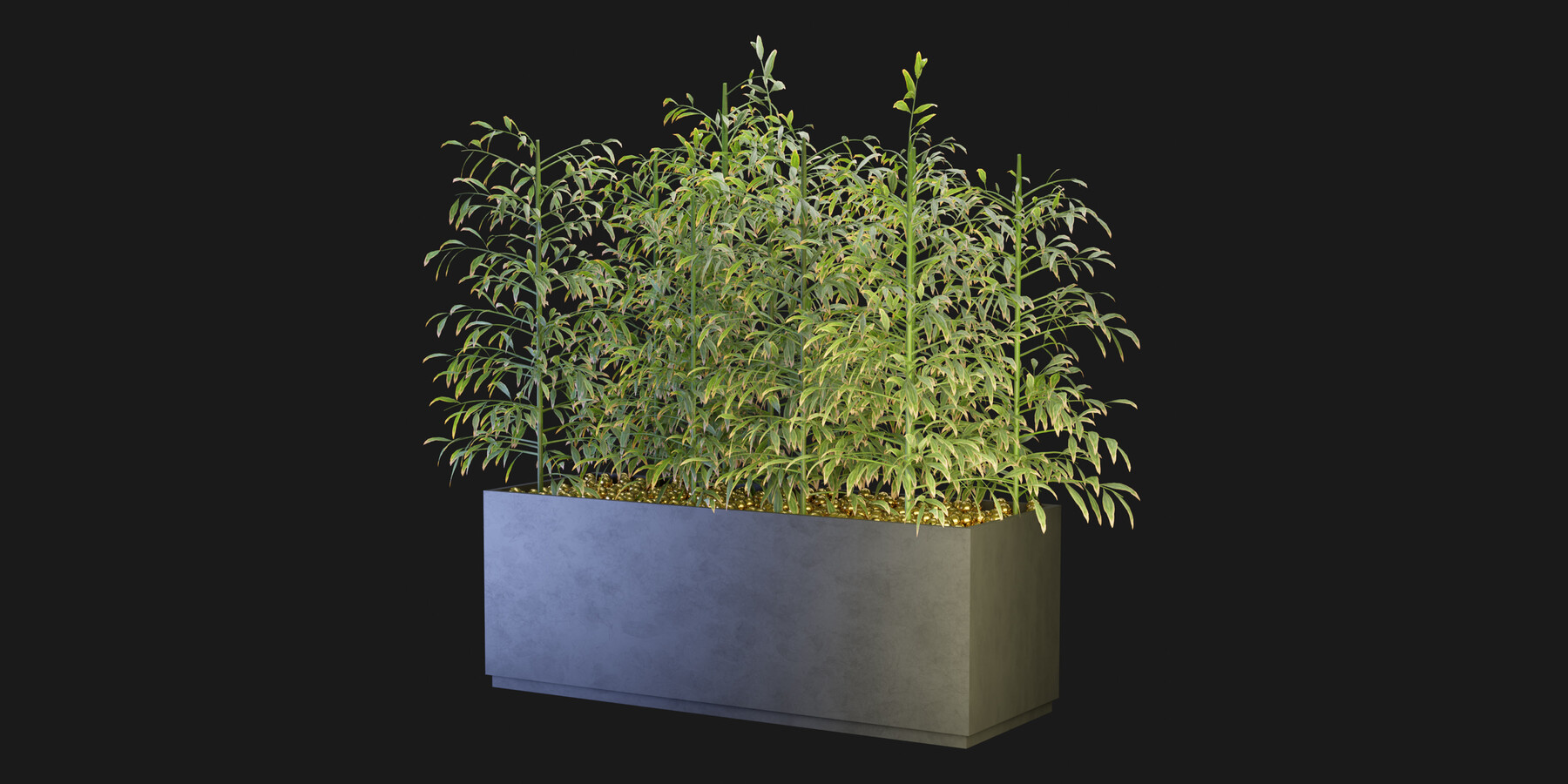 ArtStation - Collection Plant Vol 95 - Blender Model | Resources