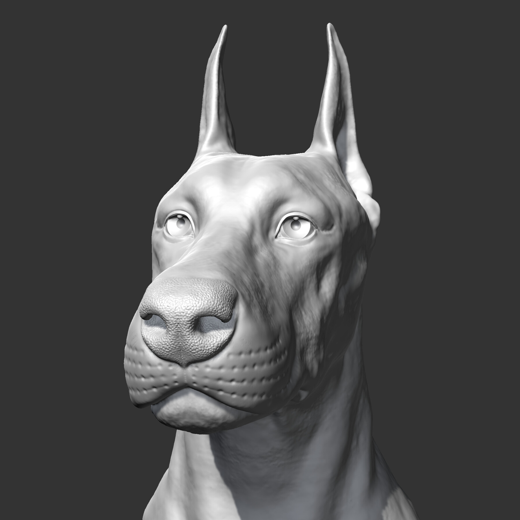 ArtStation - Doberman sitting AM21 3D print model | Resources