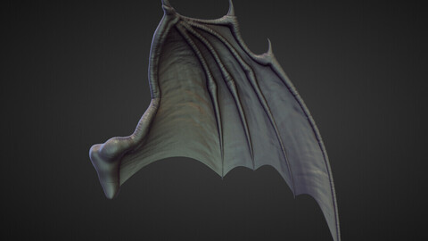 WING29 high poly sculpt