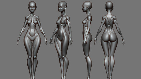 Stylized Girl Anatomy Blockout