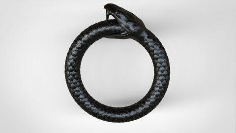 Snake Ring 3D-print model file