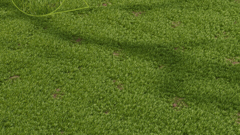 Grass Beautiful Green Lawn Relaxation