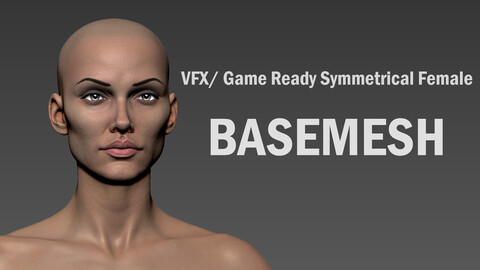 VFX/ Game Ready Female Anatomical Basemesh