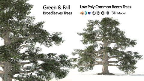 Low Poly Common Beech Trees 3D Model