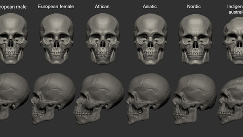ethnic group skull