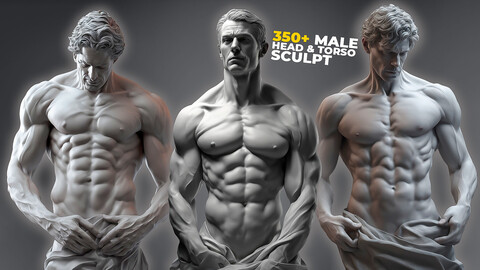 350+ Male Head & Torso Sculpt References Pictures