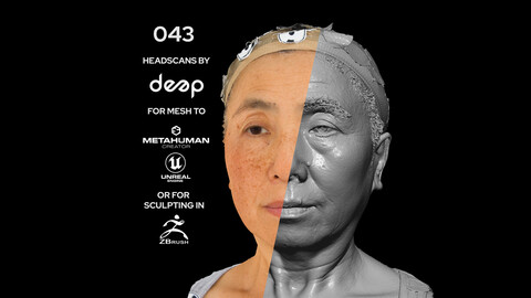 Asian Female 60s head scan 043