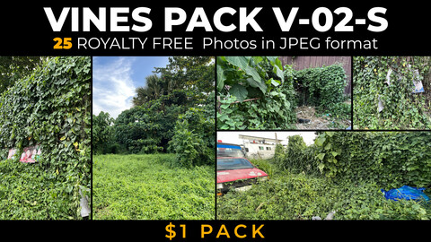 Vines Pack V-02S - 25 Royalty FREE Photo Reference Pack