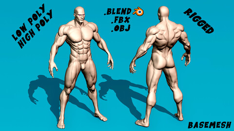 Muscular Male Heroic Anatomy Basemesh (Man Base Mesh High poly and Rigged Low poly) Basemash
