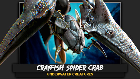 The Crayfish Spider Crab - lowpoly fish ocean predator - Crustacea 3d Creature #12