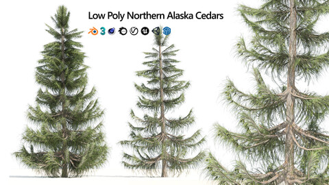 Low poly Nootka false Cypress