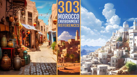 303 Morocco Environment References