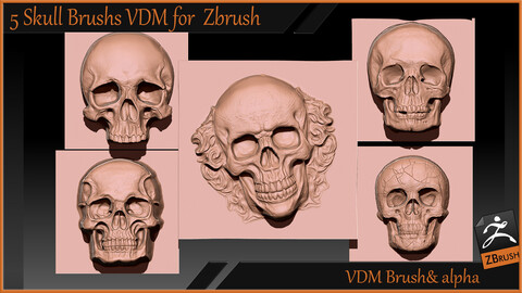 5 skull VDM for Zbrush