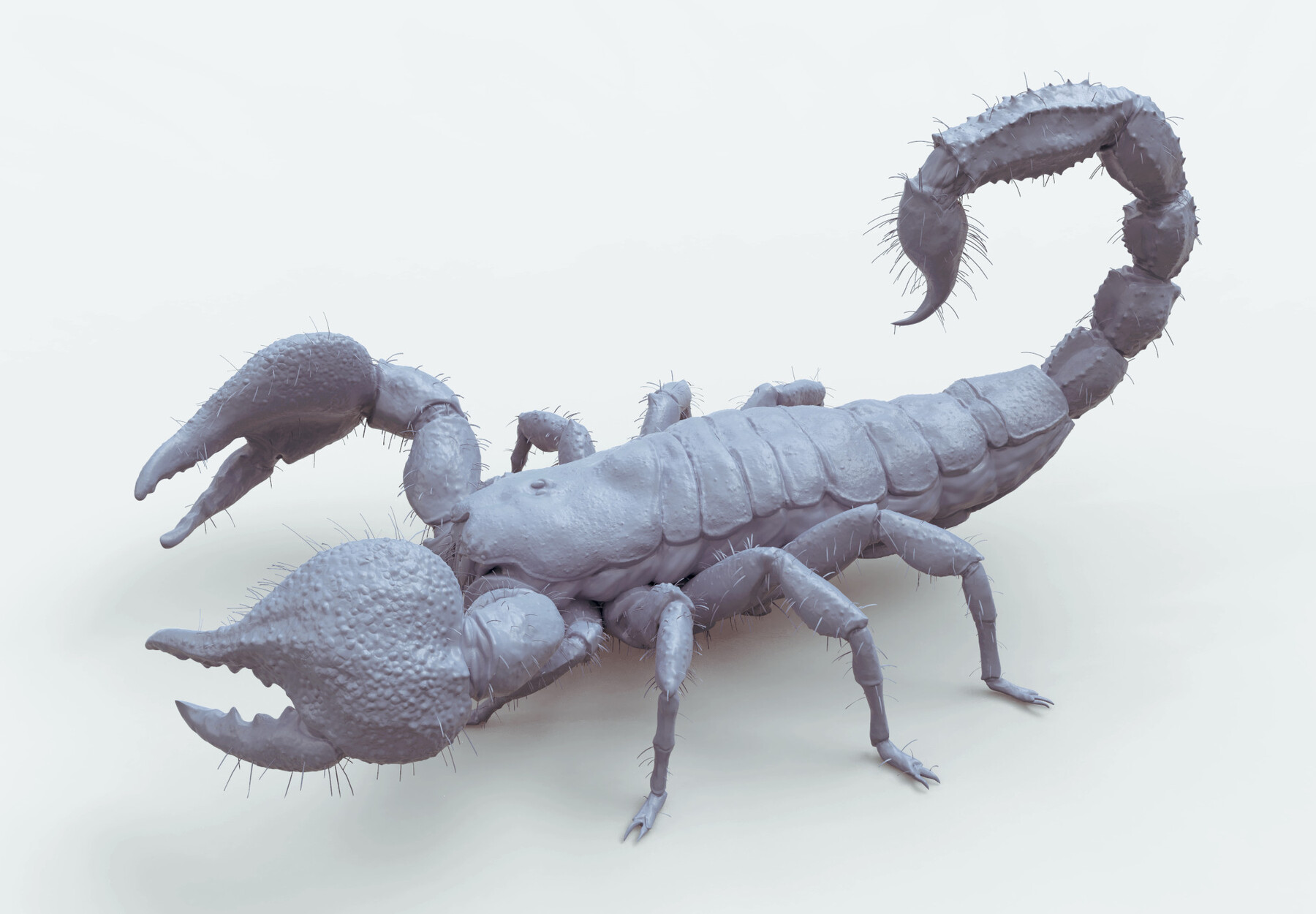 ArtStation - JMLSilver - Emperor Scorpion 3D File | Resources