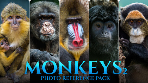 Monkeys Vol.2  -Photo Reference Pack For Artists 446 JPEGs noAI