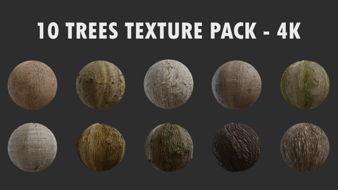 10 Trees Textures Pack - 4K