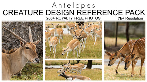 Creature Design Reference Pack - Antelopes- 200+ Royalty Free Photos