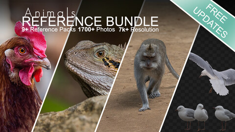 Animals Reference Bundle - 8+ Reference Packs - 1500+ Photos - Free Updates