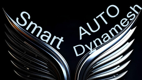 Smart Auto Dynamesh