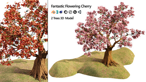 Spring Cherry blossom 3d model