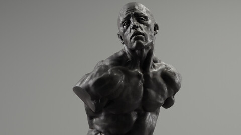 Male Sculpt